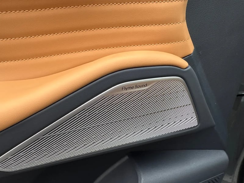 Photo de la voiture GEELY STARRAY EM-i Max+