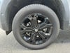 Photo de la voiture DACIA DUSTER ECO-G 100 4x2 SL Extreme