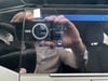 Photo de la voiture PEUGEOT 308 BlueHDi 130ch S&S EAT8 Allure